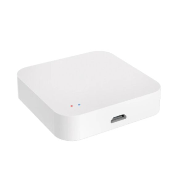 WiFi HUB for Zigbee and Bluetooth